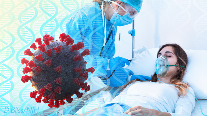 corona virus