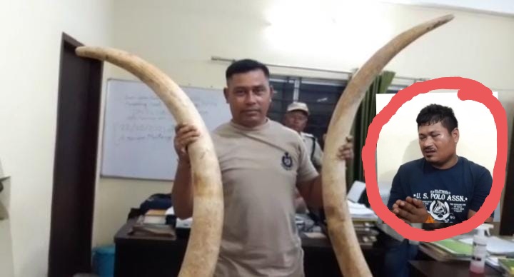 Poachers