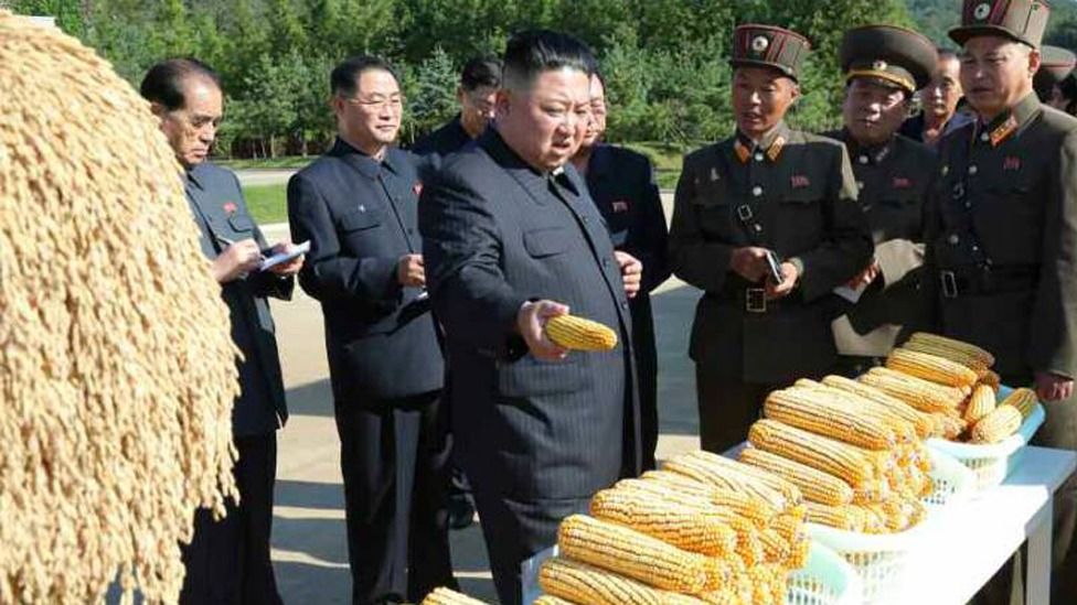 kim-orders-shooting-of-crop-thieves-on-north-korean-farms