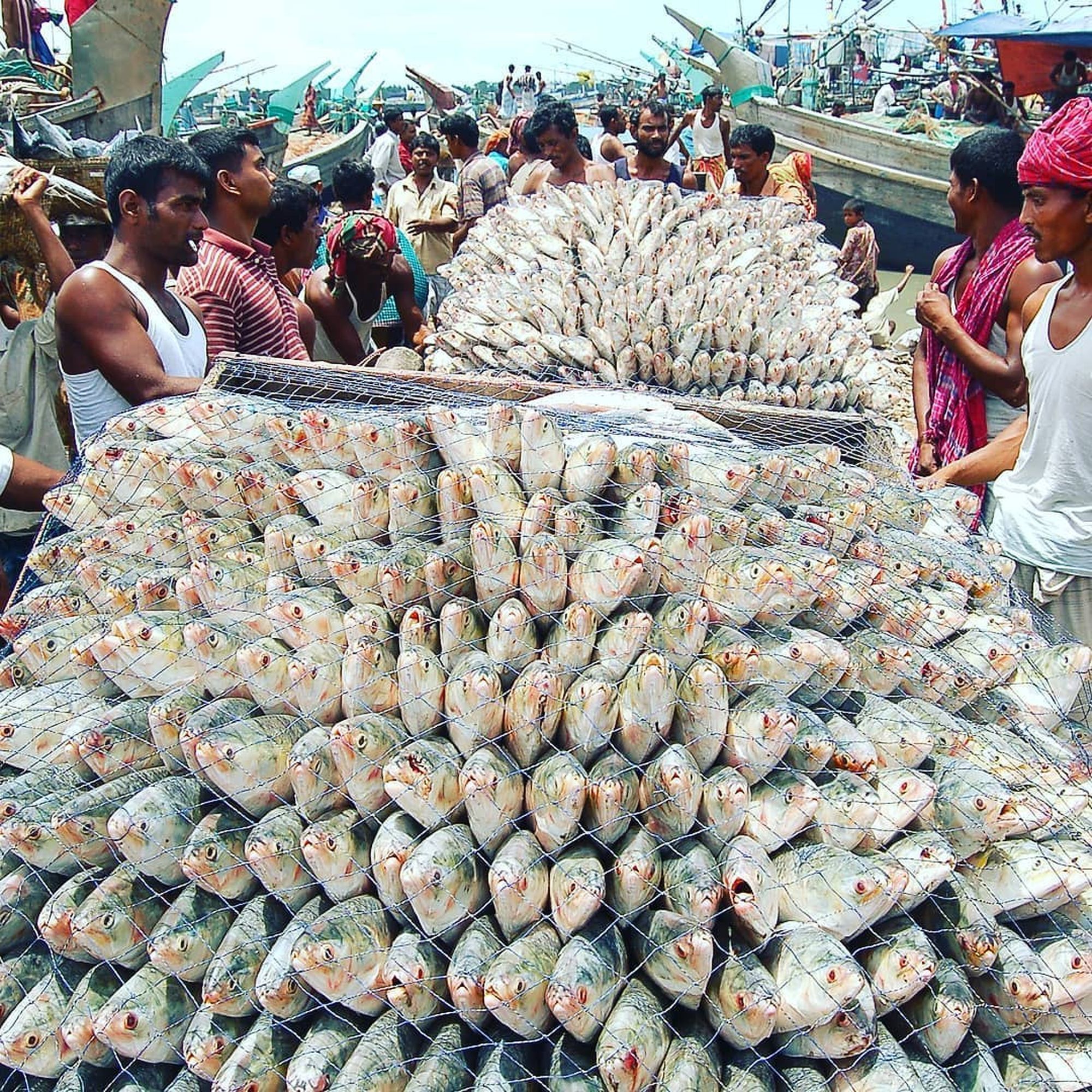 Illegal-Bangladeshi-fish-traders-hurting-economy-of-Barak-Valley-markets