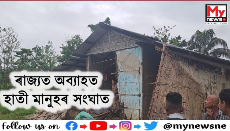 শোণিতপুৰৰ চাৰিদুৱাৰত বন্যহস্তীৰ তাণ্ডৱ