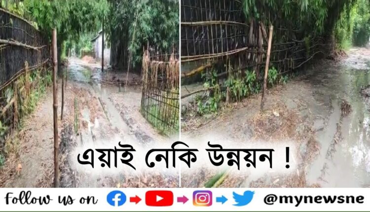 বাৰিষাৰ পথাৰ নে যাতায়তৰ বাবে এটা পথ ! বিপাঙত সৰুক্ষত্ৰীবাসী