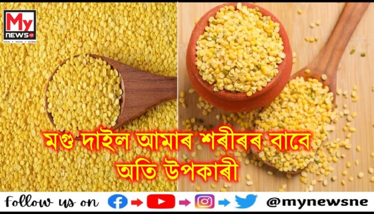 দৈনিক মগু দালি খালে আপুনি কি কি ৰোগৰ পৰা মুক্তি পাব পাৰিব ?