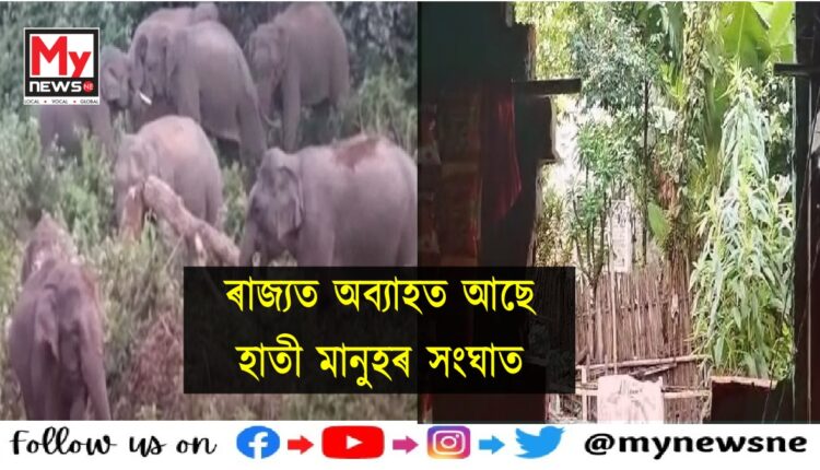 Man Elephant confli in Sonitpur