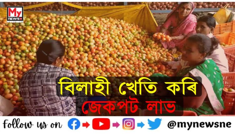 Maharashtra farmer becomes millionaire in a month by selling tomatoes