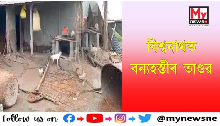 Man Elephant conflic in biswanath