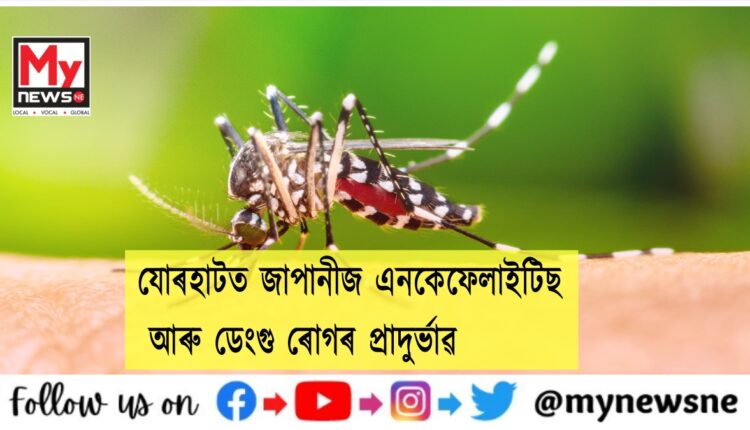 Japanese Encephalitis in Jorhat