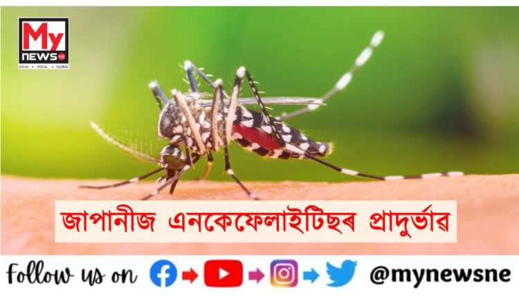 japanese encephalitis in Dibrugarh