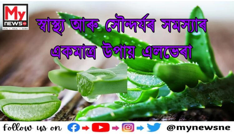 Aloe Vera Benefits for Face and Skin