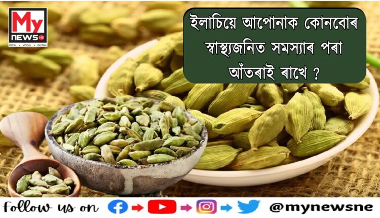 Cardamom Effect On Health