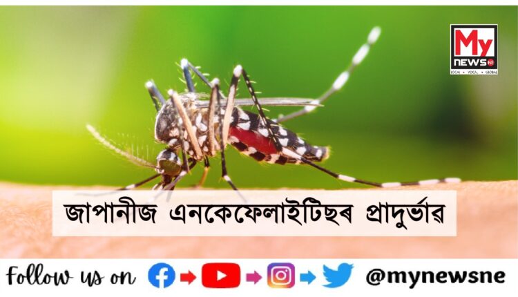 Japanese Encephalitis in Dhakuakhana