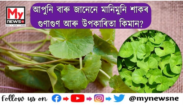 centella asiatica benefits
