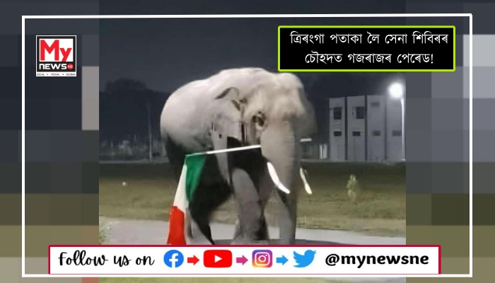 Republic Day parade by an elephant