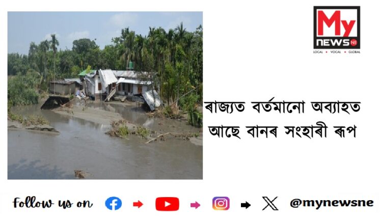 ৰাজ্যত বৰ্তমানো অব্যাহত আছে বানৰ সংহাৰী ৰূপ