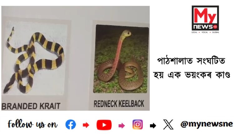 পাঠশালাত সংঘটিত হয় এক ভয়ংকৰ কাণ্ড